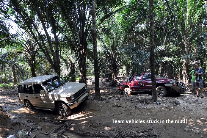 Vehicles stuck in the mud en route to village