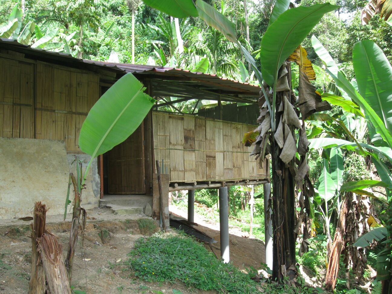 School building in progress