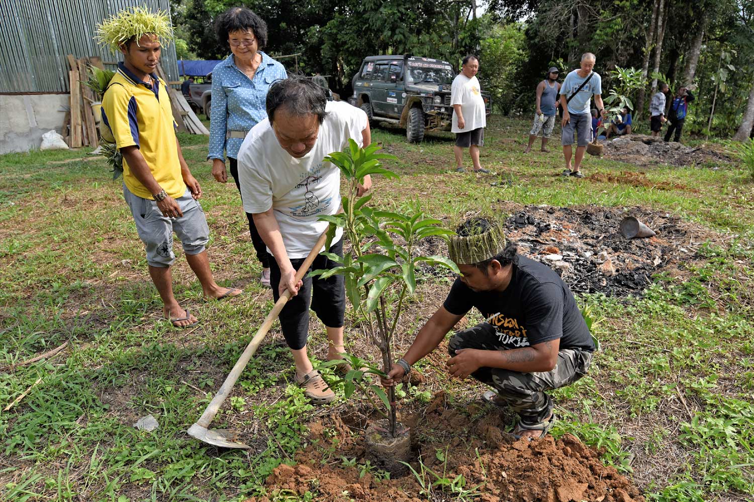 Planting trees at new hall compound