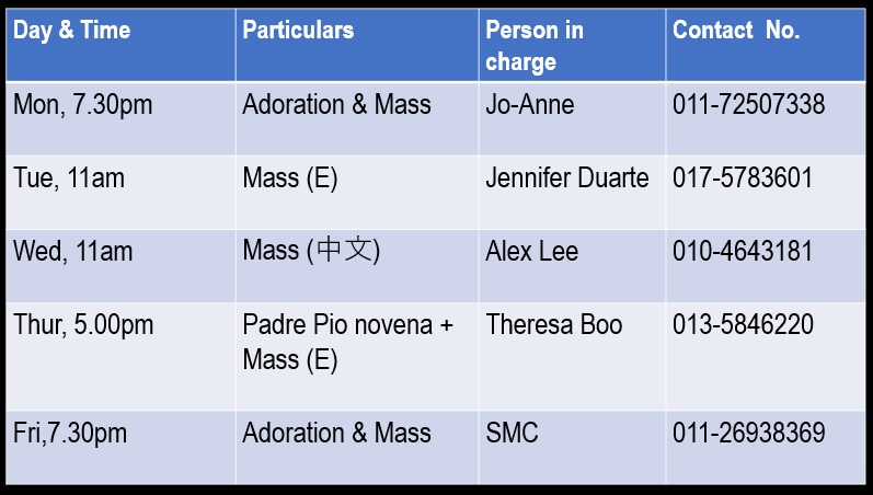 Timetable for weekday masses