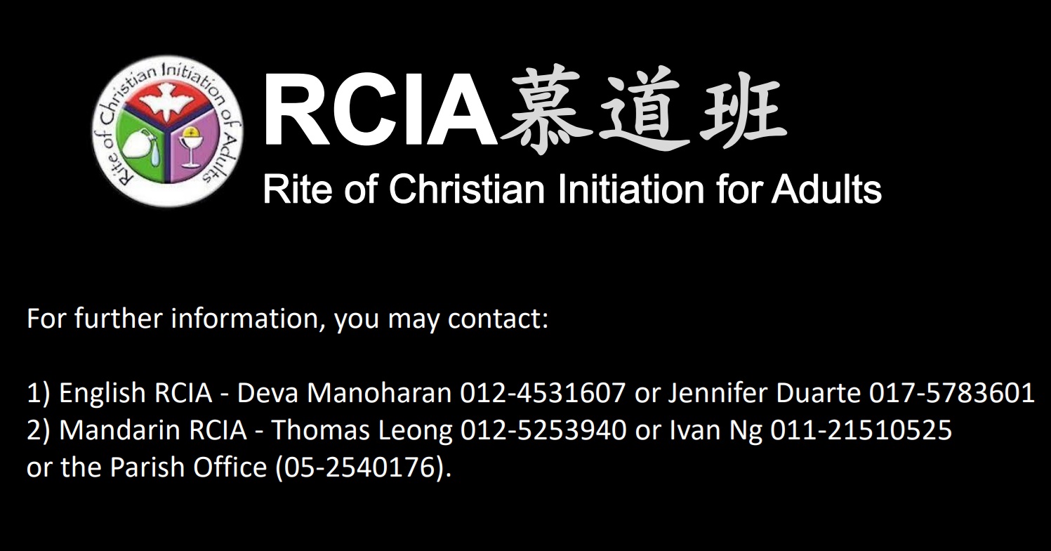 RCIA programme in SMC