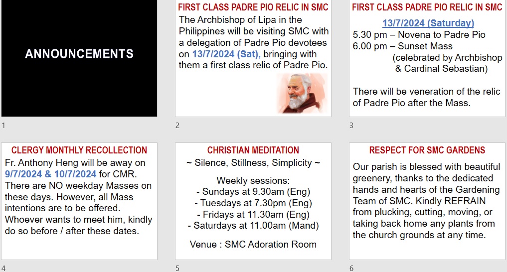 Announcements for 14th Sunday in Ordinary Time