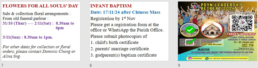 Announcements for 29th Sunday in Ordinary Time