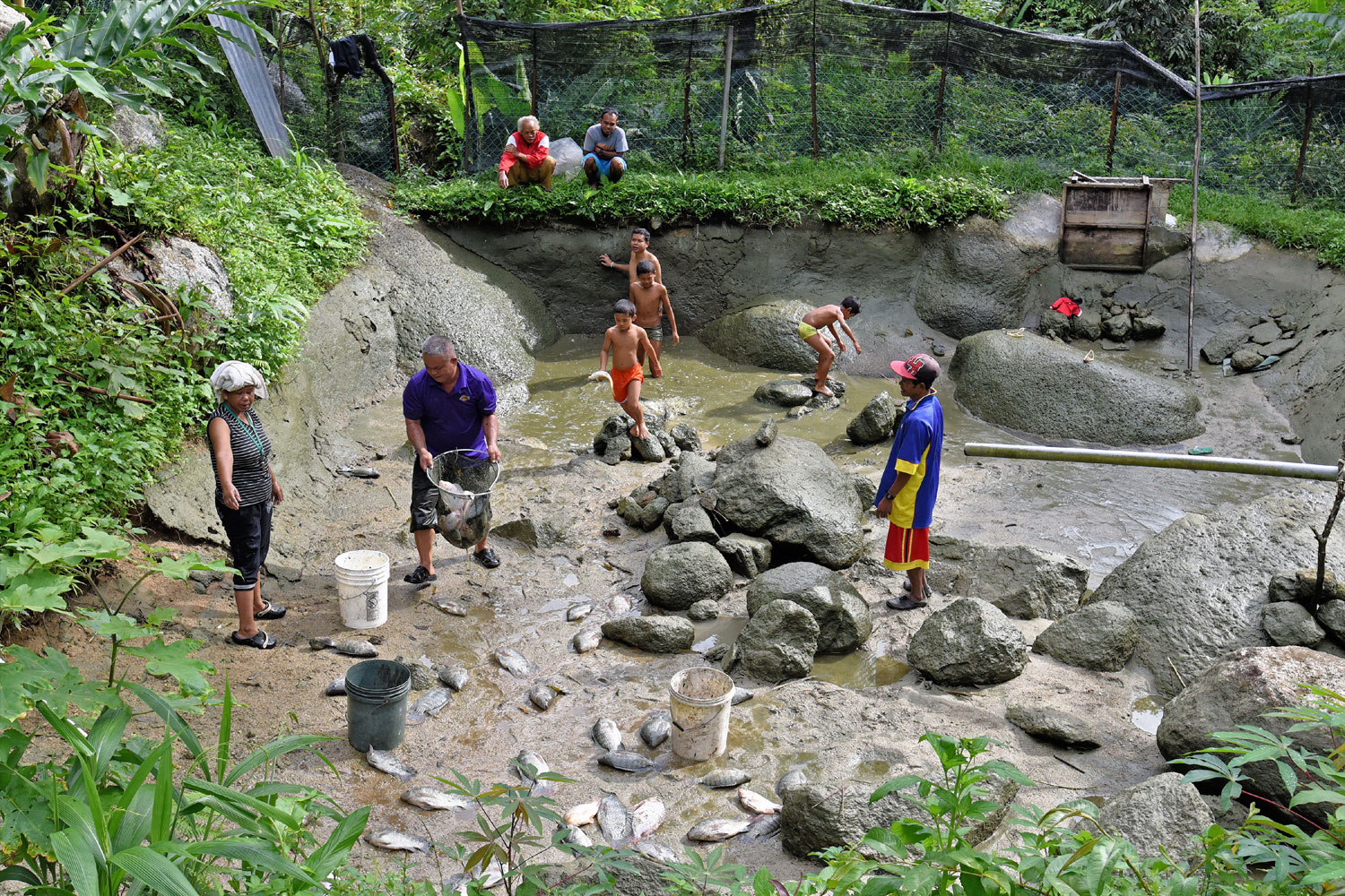 Collecting and cleaning fish from Kg Sekam