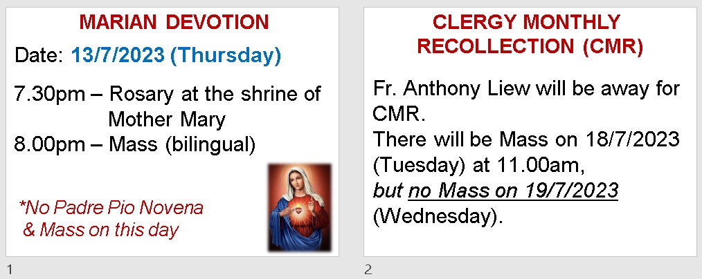 Announcements for 14th Sunday in Ordinary Time